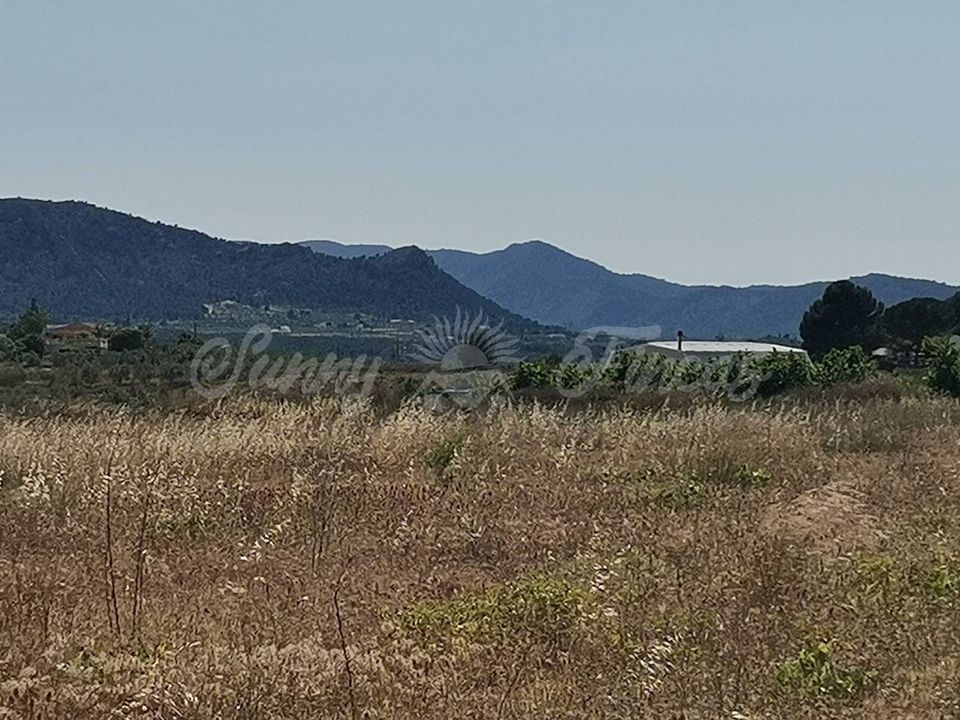 Helårsgrund i Sax, Alicante - foto 2